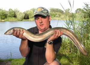 5lb 2 0z Eel form South West Fishery